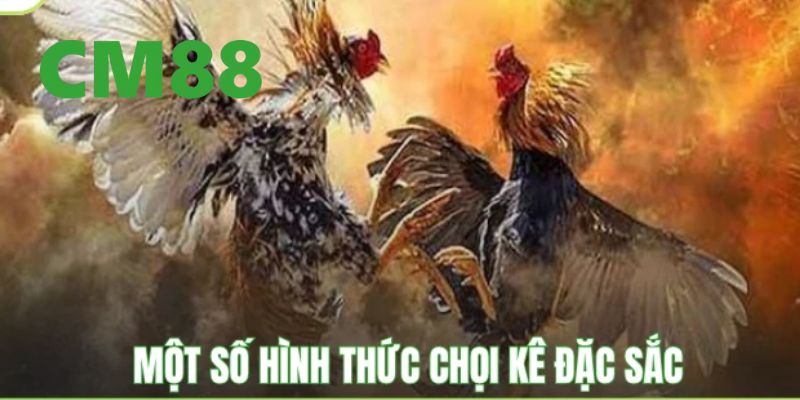 Các loại hình cá cược đá gà CM88 được yêu thích nhất 2026